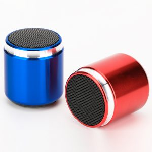 Mini Portable Speaker
