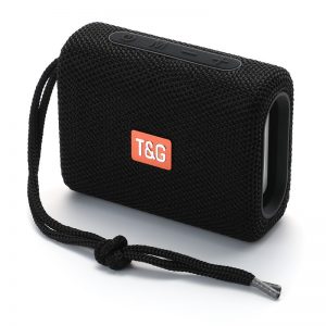 TG313 SPEAKER