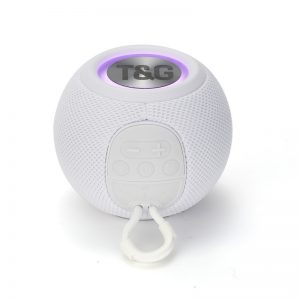 TG337 BT MINI SPEAKER