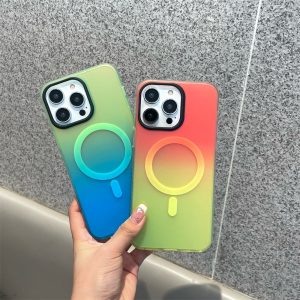 Gradient Colorful Matte Case